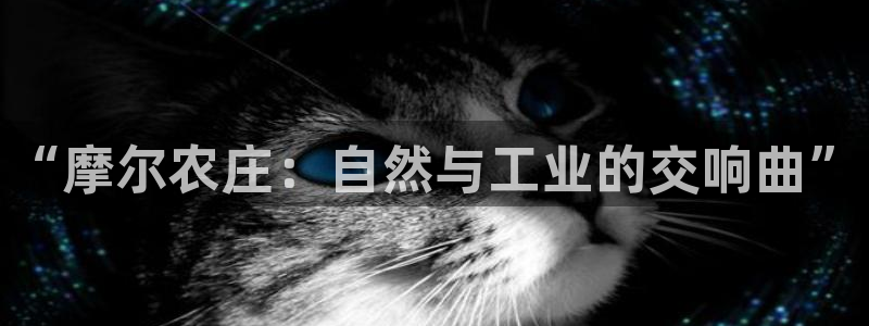 天辰娱乐总管年薪