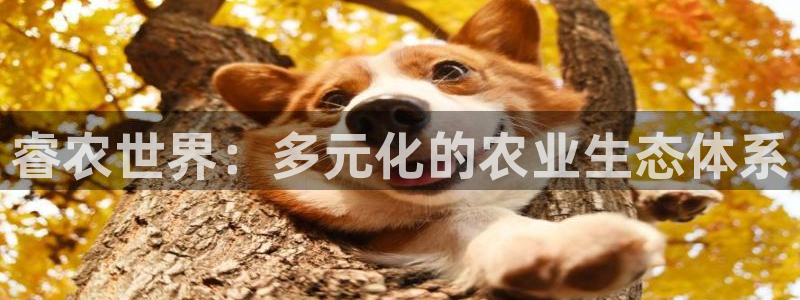 天辰娱乐国际