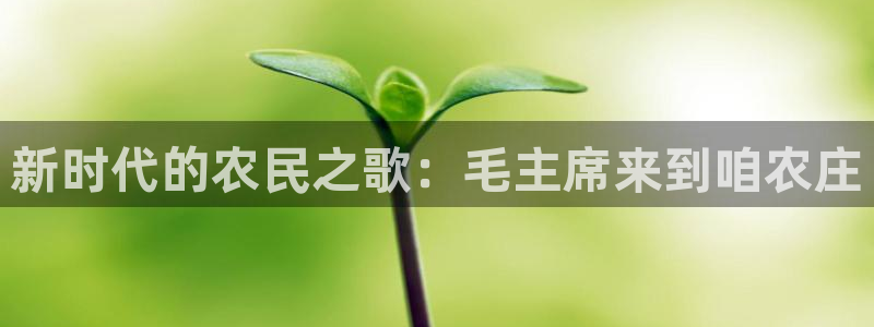 大同天辰娱乐