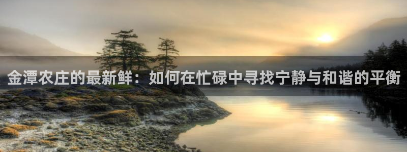 天辰娱乐1980
