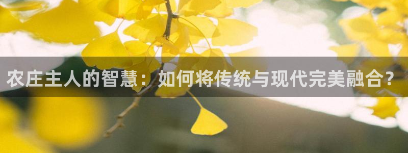 桂林天辰娱乐