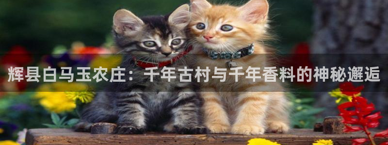 天辰娱乐欢乐