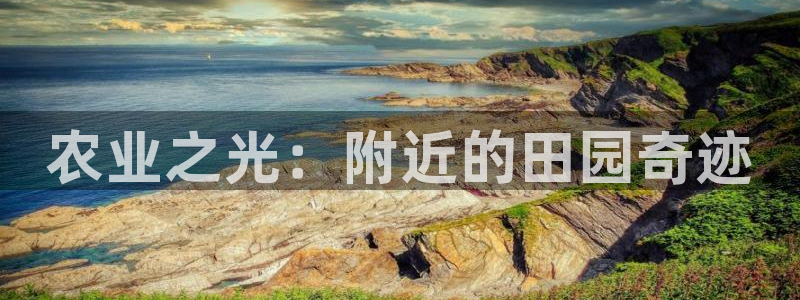 天辰娱乐小姐
