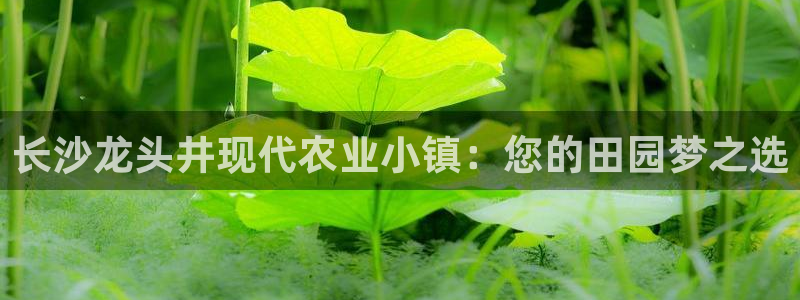 天辰娱乐链接