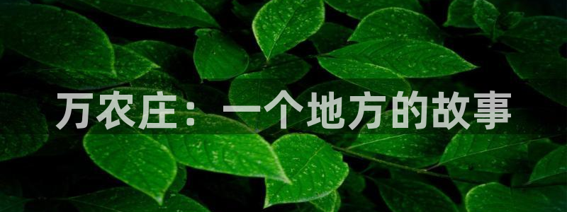 天辰娱乐tff