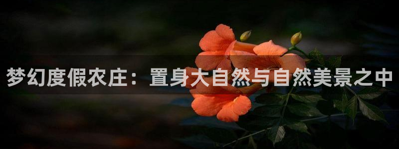 天辰娱乐app