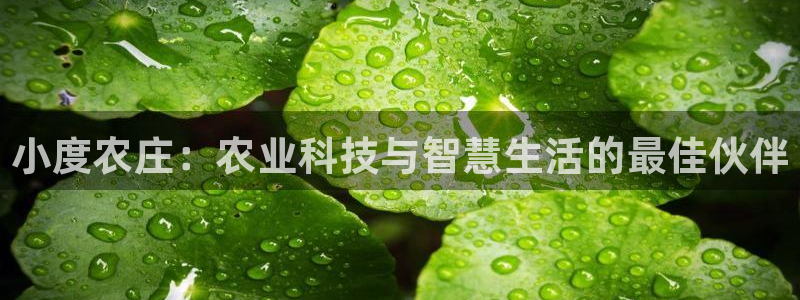 天辰娱乐彩票