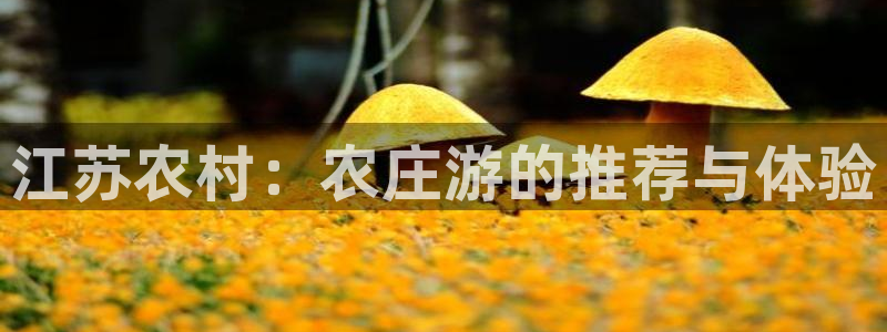 天辰娱乐_675138