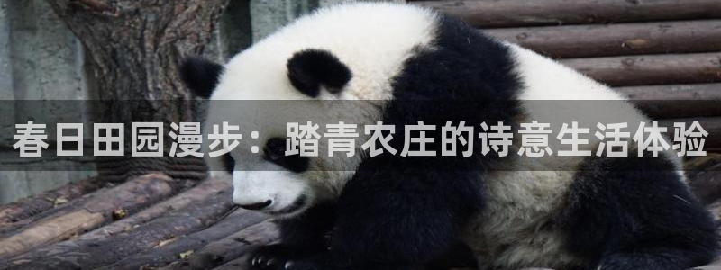 大庆天辰娱乐